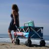 Beach Wagon Cart, Outdoor and Camping, Blue, Adult